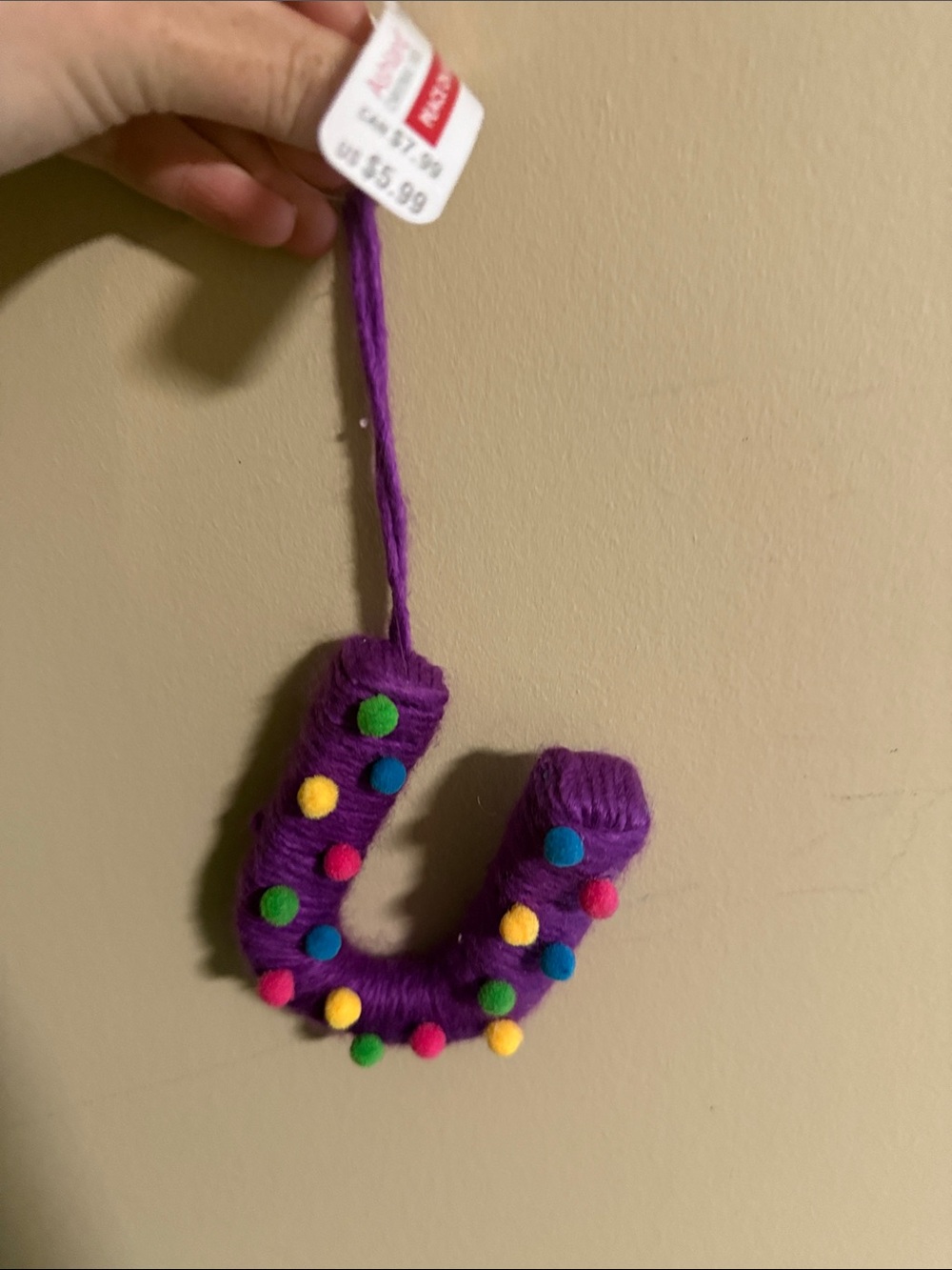 Ashland ornaments Purple Charm with Colorful Pom-Poms